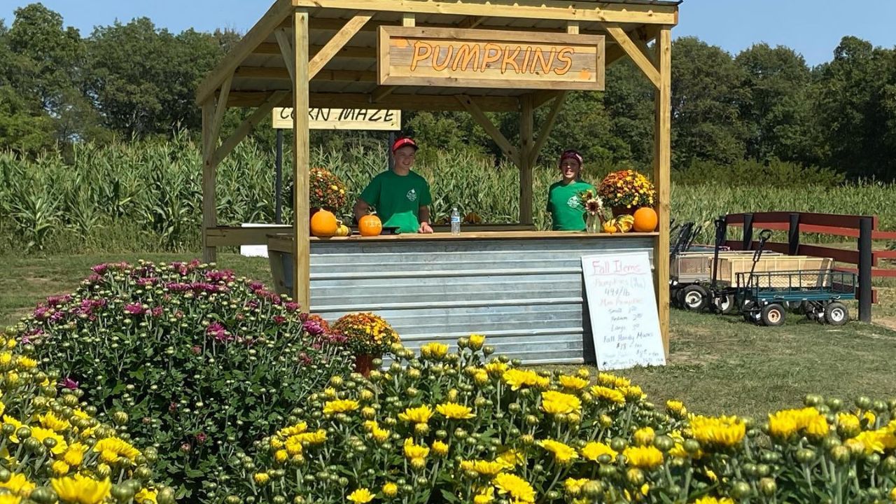 10 Fall Festivals in Iowa To Enjoy This Season The Amazing Traveler